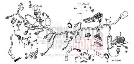 WIRE HARNESS (XL125V1/2/3/4/5/6) XL125V5 de 2005